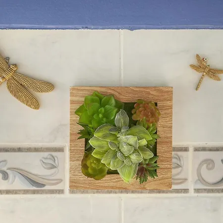 Isa - Clim - Wifi - Balcon - Vca * לה קאנה